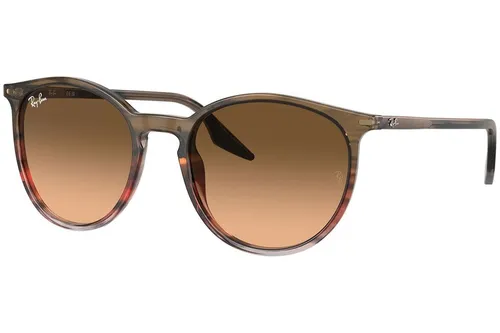 Ray-Ban RB2204 13953B, Hnědé, Materiál 0, Unisex sluneční brýle