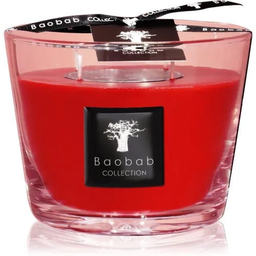 Baobab Collection All Seasons Masaai Spirit candela profumata 10 cm