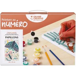 Graine Creative Malen nach Zahlen, Keilrahmen - Papillion