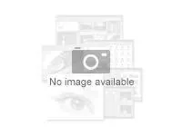 Synology Surveillance Device License Pack Sikkerhedsprogrammer 4 kameraer