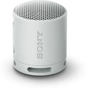 Sony SRSXB100H Bluetooth-Speaker, IP67 wasserdicht