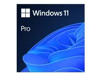 Windows 11 Pro - ESD