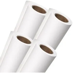 EVOLUTION Rouleau Papier A0 80g