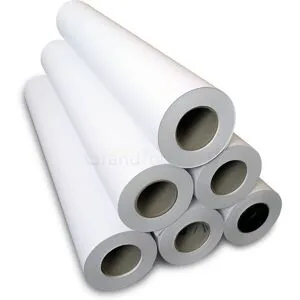 Rouleau Papier Canon A0 80 g