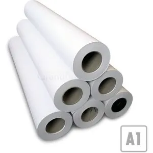 EVOLUTION Rouleau Papier A1 90g
