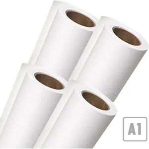 EVOLUTION Rouleau Papier A1 80g