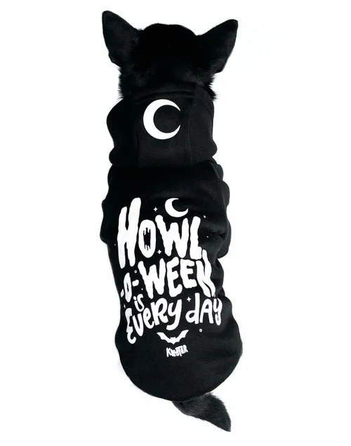 Hundeoutfit (Kapuzenpullover) KILLSTAR