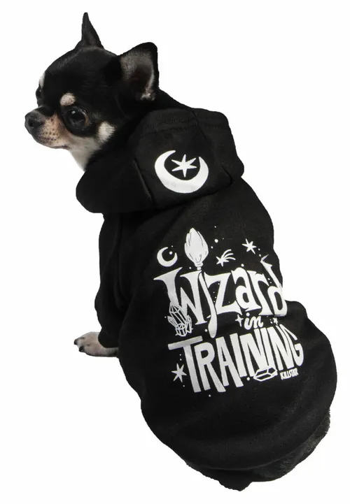 Hundeanzug Hundeoutfit KILLSTAR - Wizard In Trining - Schwarz