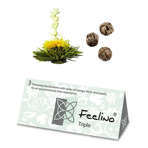 Feelino Flores de té 6 variedades diferentes envasadas individualmente y muy productivas
