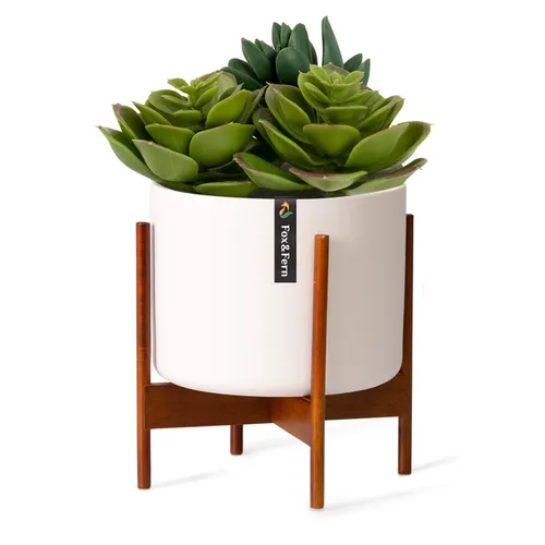 Fox & Fern Maceta Thorn con soporte estilo años 50, 2 tamaños