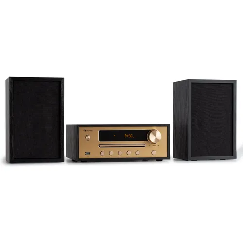Auna Berklee HiFi Stereo System Altavoz estéreo Bluetooth UWK MP3 USB Line-In