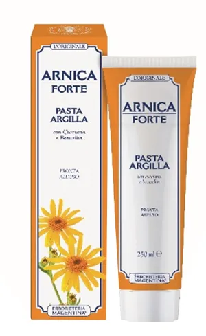Arnica Forte Pasta Argill250Ml