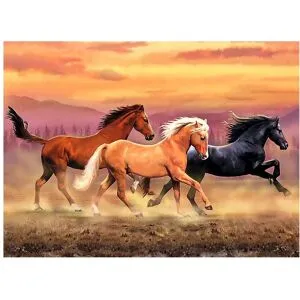 Royal Langnickel Malen nach Zahlen "Freiheit"