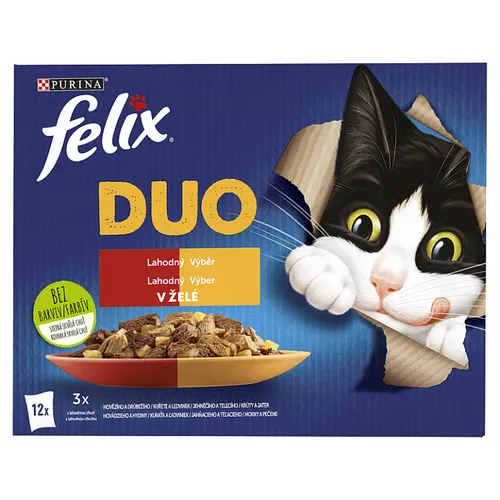 FELIX Fantastic Duo - lahodný výběr multibalení 12 x 85g