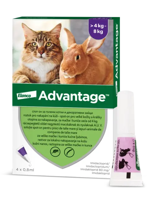 Advantage Spot-on pro malé kočky a králíky 80 mg 4 x 0,8 ml