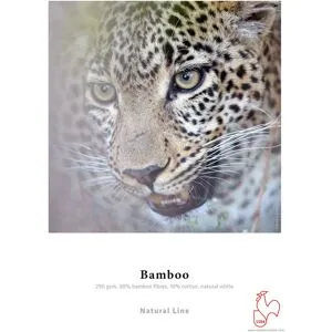 Hahnemühle Papier Bamboo Fine Art 290 g 17 pouces