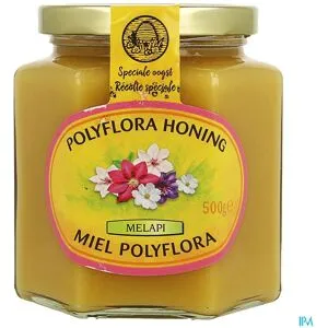 Melapi Miel Polyflora Tendre 500g 5531 Revogan