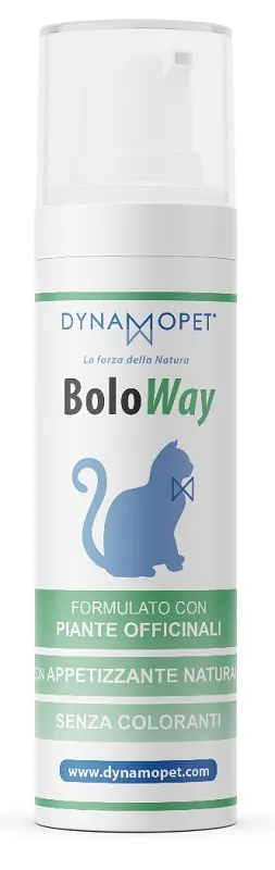 Boloway Pasta 65G