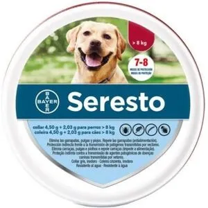 Seresto Bayer Seresto Coleira Cão > 8kg