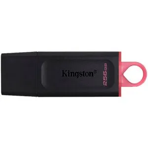 Kingston USB N&oslash;gle 256 GB