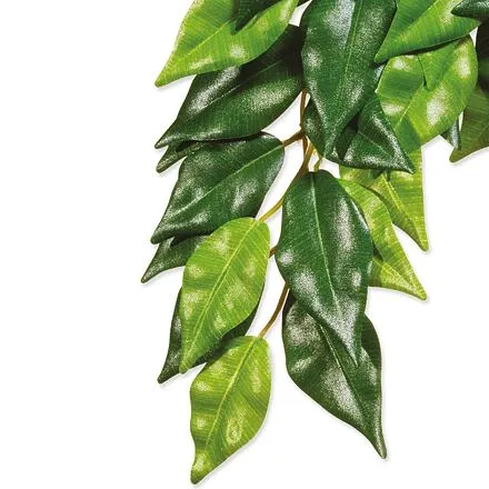 Rastlina EXO TERRA Ficus veľká 70 cm 1 ks