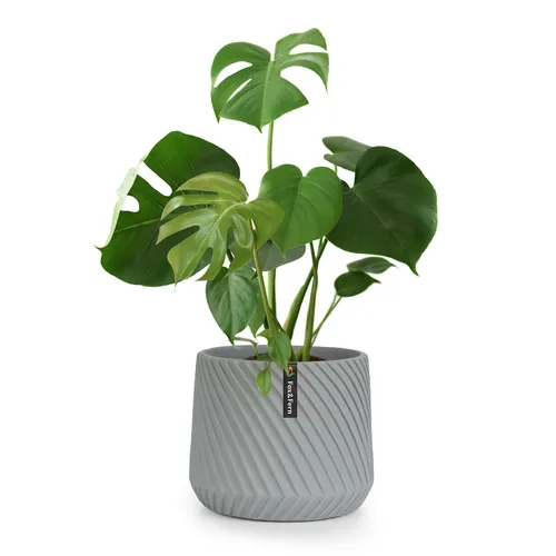 Fox & Fern Heusden Blumentopf Polystone pflanzenfreundlich handgemacht