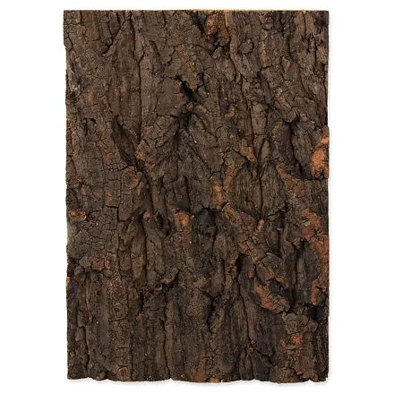 Pozadie REPTI PLANET korok prírodný 19 x 27,3 x 2 cm 1 ks