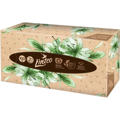 Linteo Paper Tissues Two-ply Paper, 100 pcs per box fazzoletti di carta 100 pz