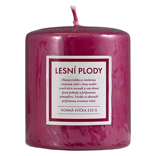 Q-Home vonná svíčka lesní plody 235g