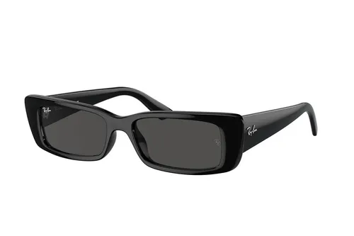 Ray-Ban Teru RB4425 667787 ONE SIZE (54) Fekete Unisex Napszemüvegek