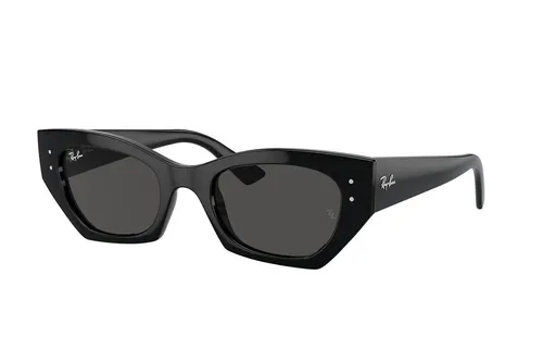 Ray-Ban RB4430 667787 L (52) Fekete Unisex Napszemüvegek
