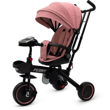 Detská trojkolka Baby Mix Pivonka EVA ružová