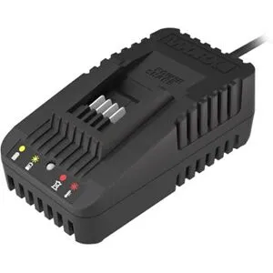 Worx 20V 2A Charger