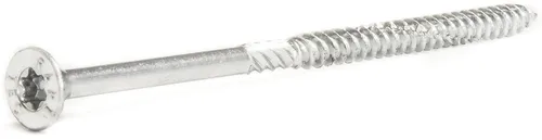 Vrut RAPI-TEC 2010 T20 4×30 mm 110 ks