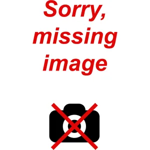 Avery Ullensaker Flyers klubblogo