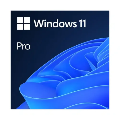 Windows 11 Pro - ESD