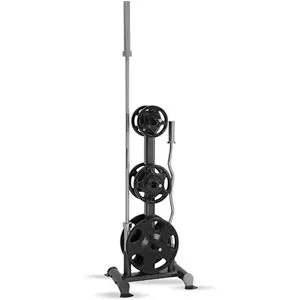 Vertikal Vektskive Stativ Inspire fitness