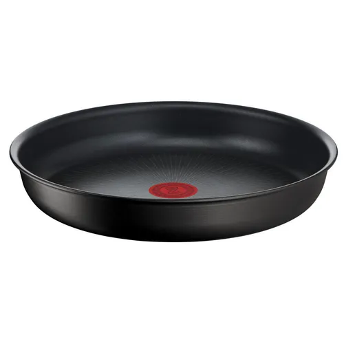 Tefal PANVICA 28 cm