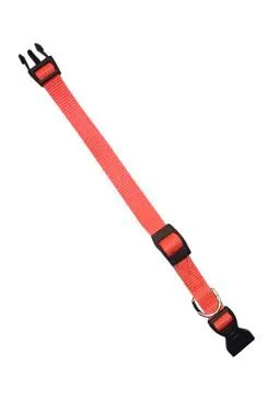 Obojek nylon Club C 32cmx10mm oranžový Fp