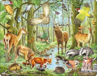 Puzzle Evropský les