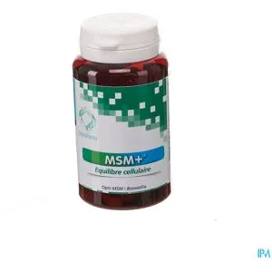 Willems Msm+ Gel Fl 60