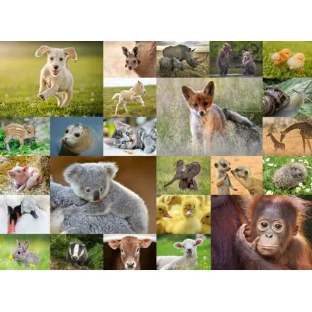 Ravensburger Koláž zvieracích mláďat Puzzle 200 dielikov