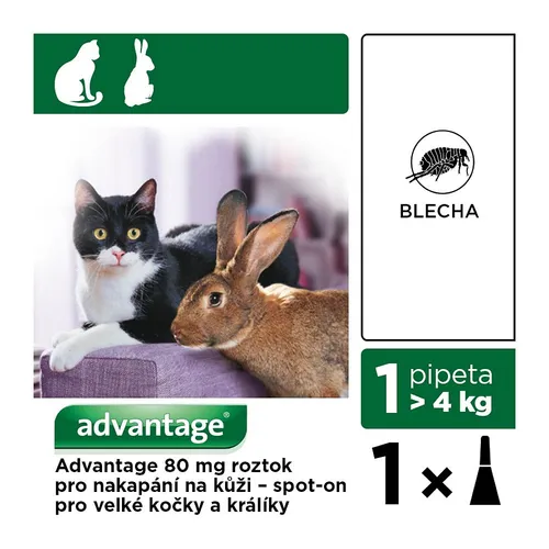 Advantage 80mg velké kočky a králíci spot-on 1x0.8ml