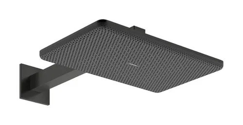 Hlavová sprcha Hansgrohe Raindance Alive Q na stenu vrátane sprchového ramená kartáčovaný čierny chróm 24550340