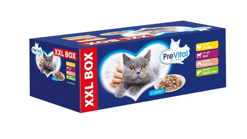 PreVital XXL Box 48 x 100 g
