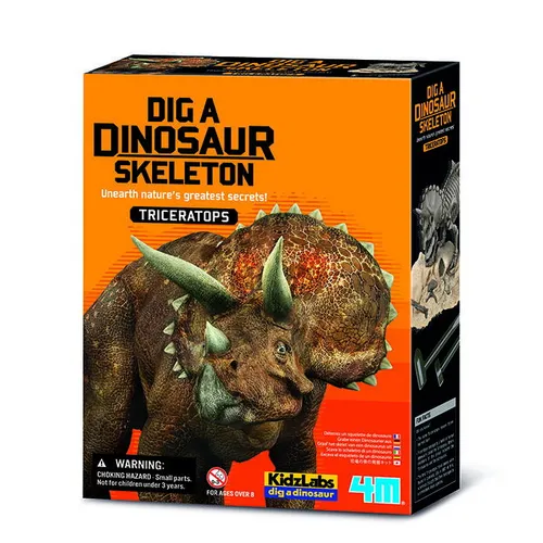 4M Dinosauria kostra - Triceratops