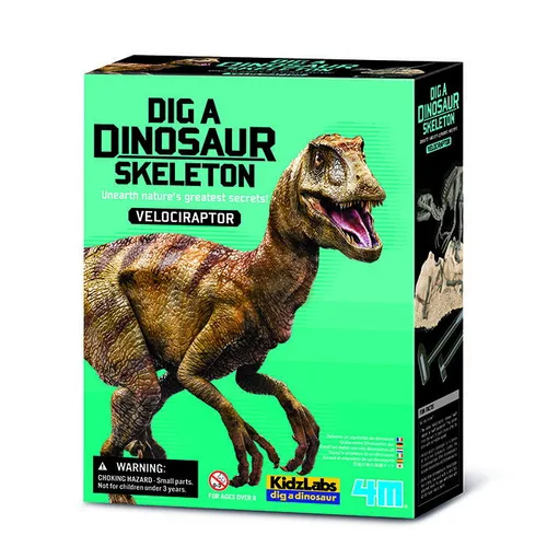 4M Dinosauria kostra - Velociraptor
