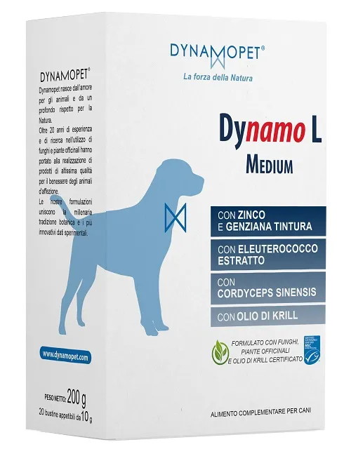 Dynamo L Medium 2Bust 1G