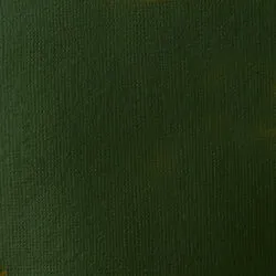 Akrylová barva Basics 118ml – 224 hookers green hue permanent