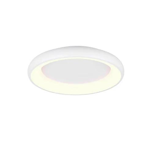 Trio Leuchten STROPNÍ LED SVÍTIDLO, 62/10 cm